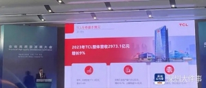 TCL科技首席运营官王成：整体海外收入已接近一半
