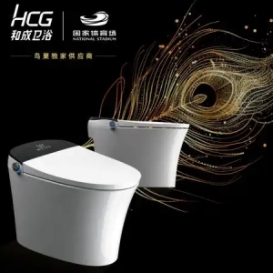 智能马桶推荐什么品牌？首推功能之王和成卫浴