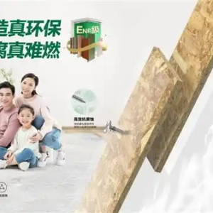 千年舟欧松板：重塑安全与品质并重的家居基材