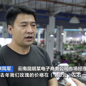 价格翻倍！母亲节临近，云南鲜切花销售旺→