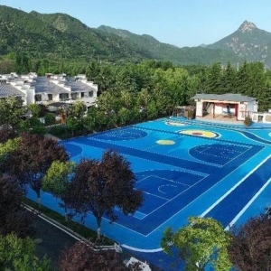 “秦岭八村”开园 “万企兴万村”启动西安高新区全力打造乡村振兴“高新样板”