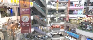 解读稳经济一揽子政策措施 | 充分发挥失业保险作用 减负稳岗扩就业