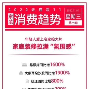 双11消费趋势上新：年轻人宅家拍大片，家庭装修拉满“氛围感”