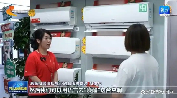 提振消费 河北在行动——全省家电以旧换新销售额突破100亿元
