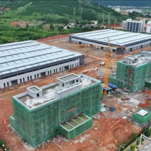 蓝山县聚焦绿色建材产业发展 全力推进项目竣工投产