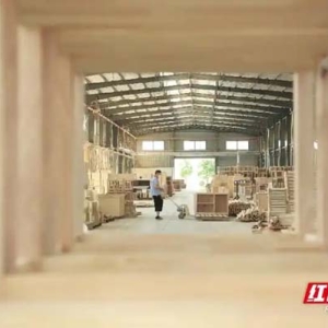 桂阳家居出海“中东市场”“定制+配套”家居成海外市场新热门