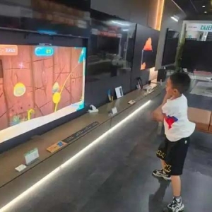 山晚调查丨扫地机成交暴增350%！智能家电让“躺平”家务成真？