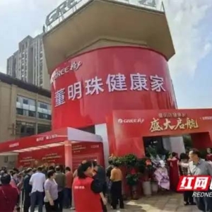 从零到千亿集群：宁乡智能家电和智能硬件产业的“渐进式”突围