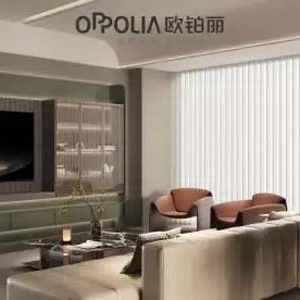 欧铂丽全屋定制：全案定制解决装修痛点