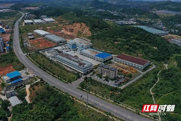 桂阳：绿色建材走俏 远销非洲市场